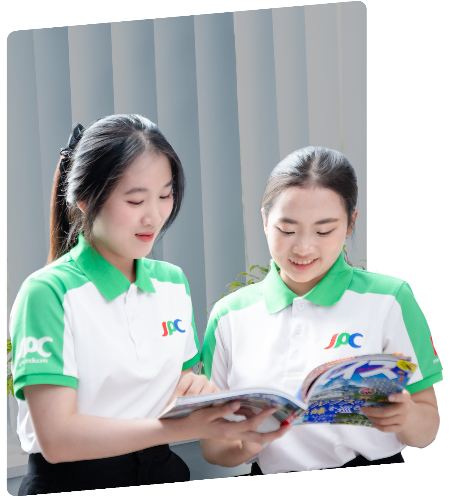 Trường trung cấp chuyên nghiệp Nhật Bản