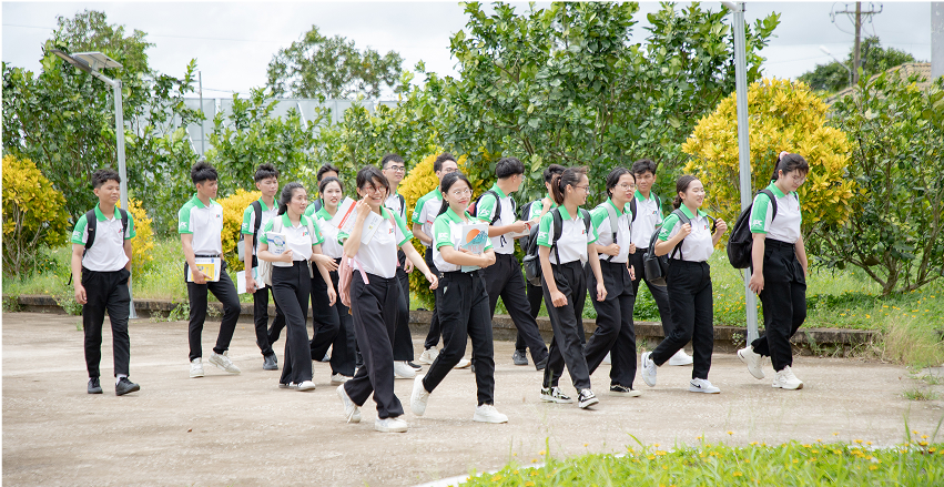 Trường trung cấp chuyên nghiệp Nhật Bản